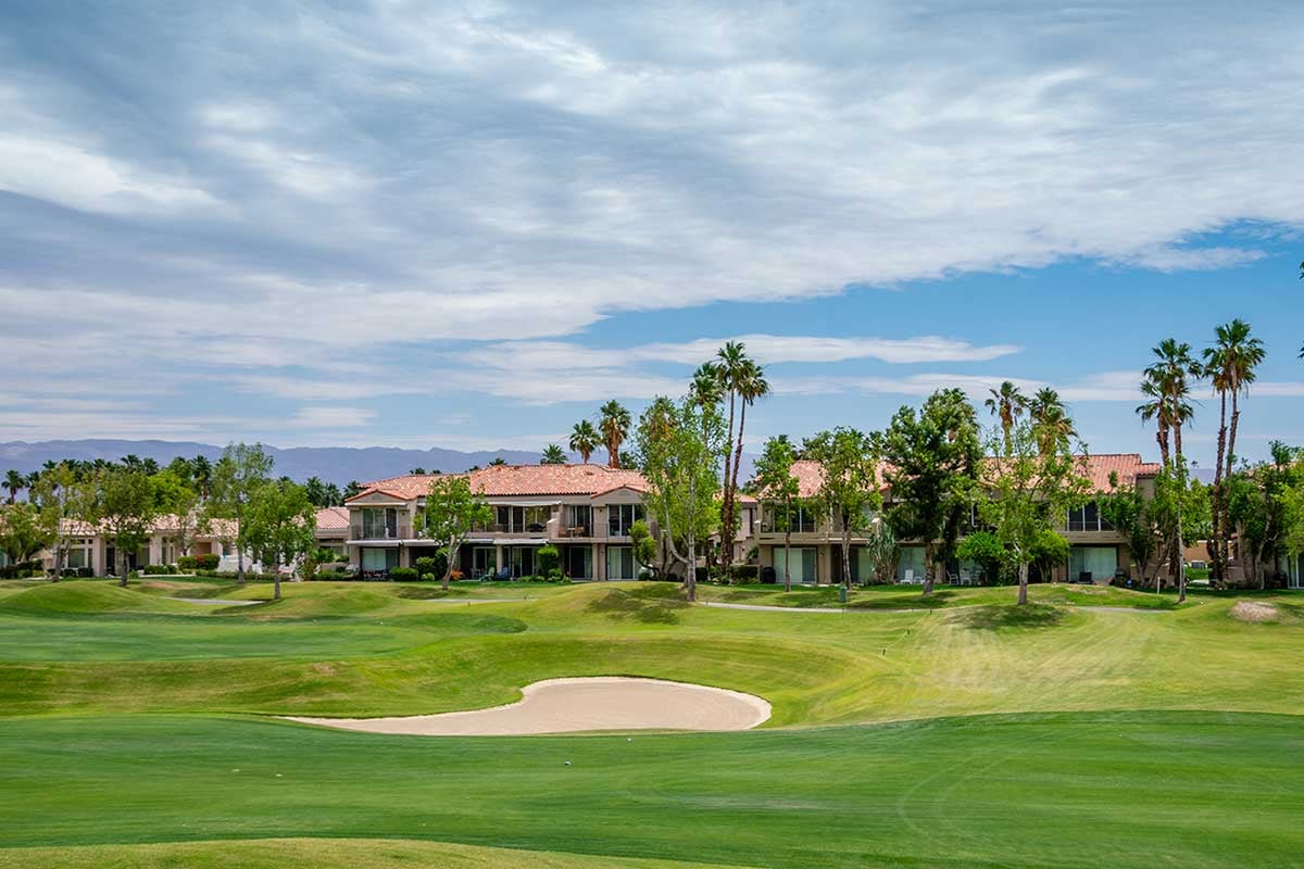 Golf course palm trees