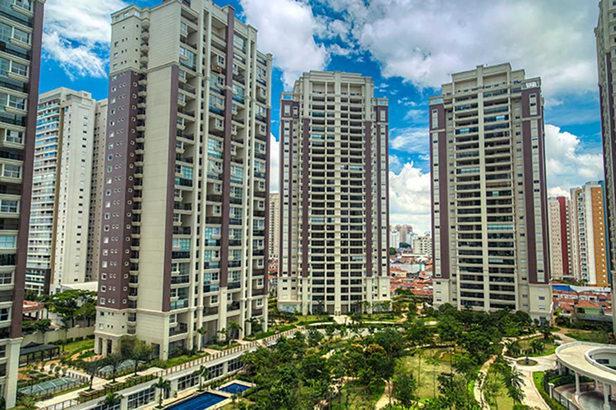 high rise green trees