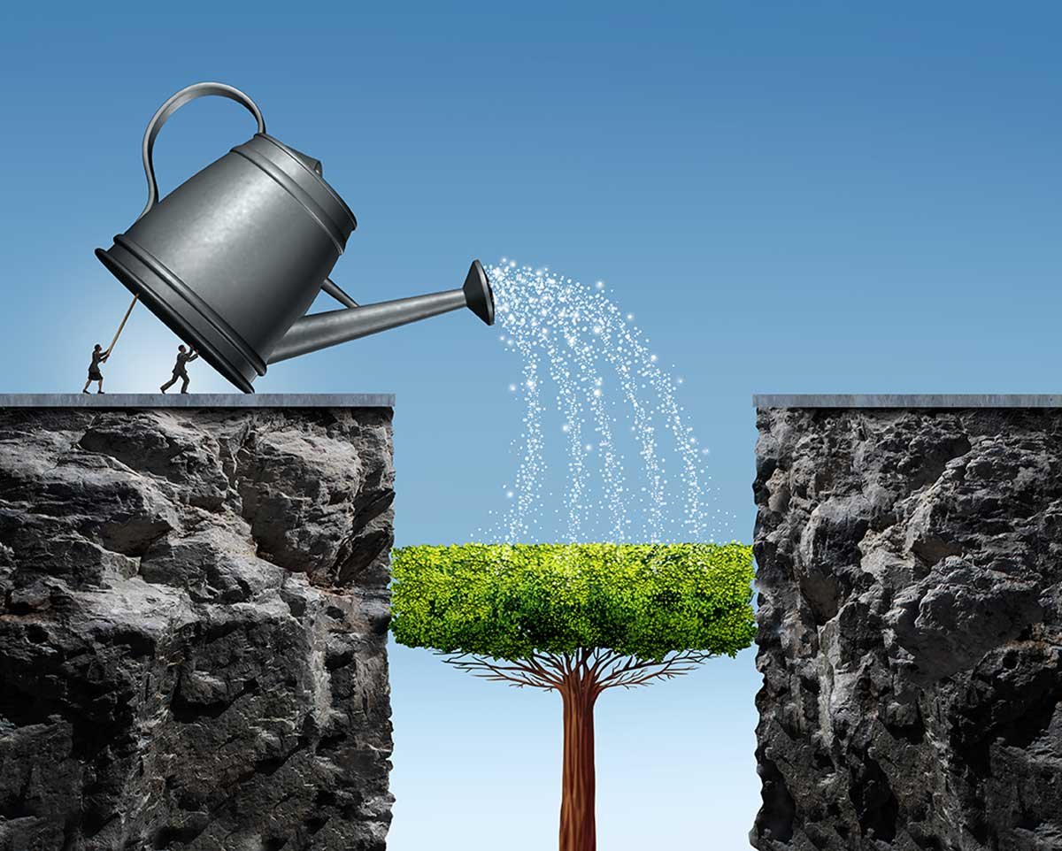tree being watered