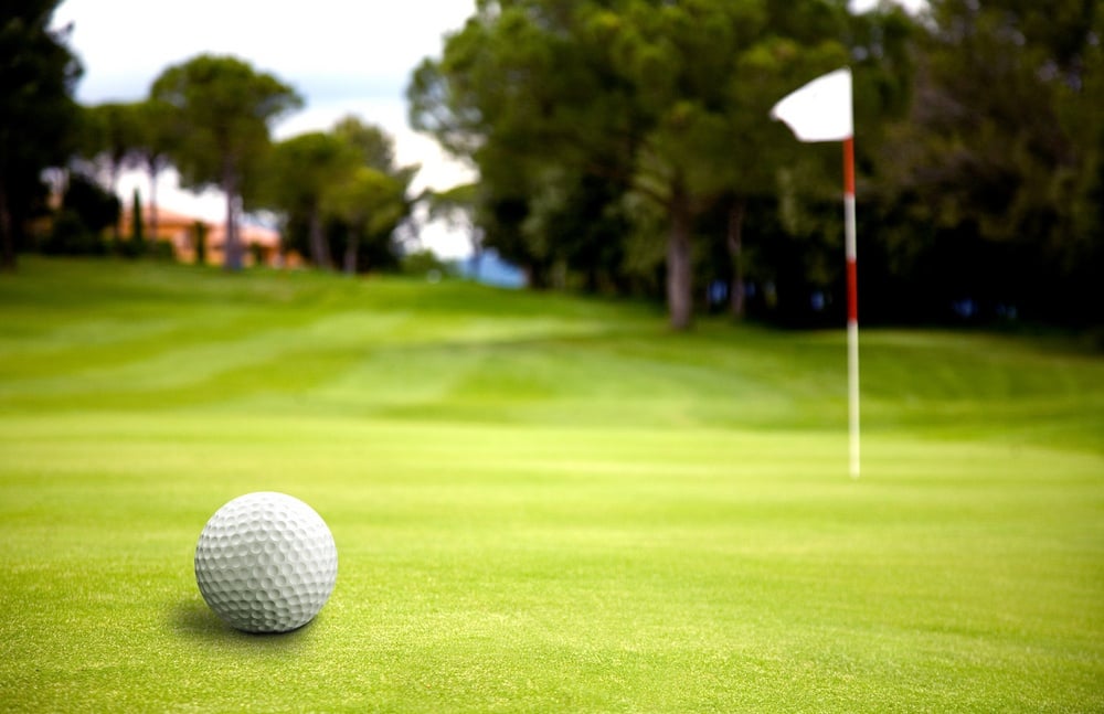 golf ball near the putting green in a very sunny day