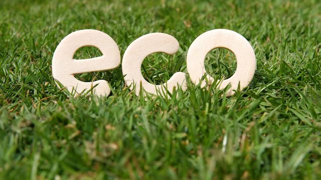 blades of grass with the word "eco" on top